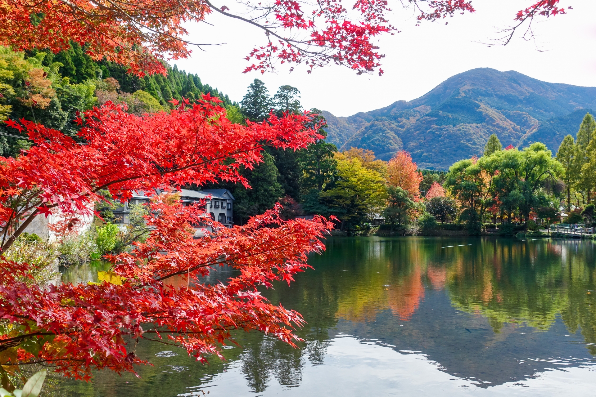 oita yufuin kinrin lake autumn